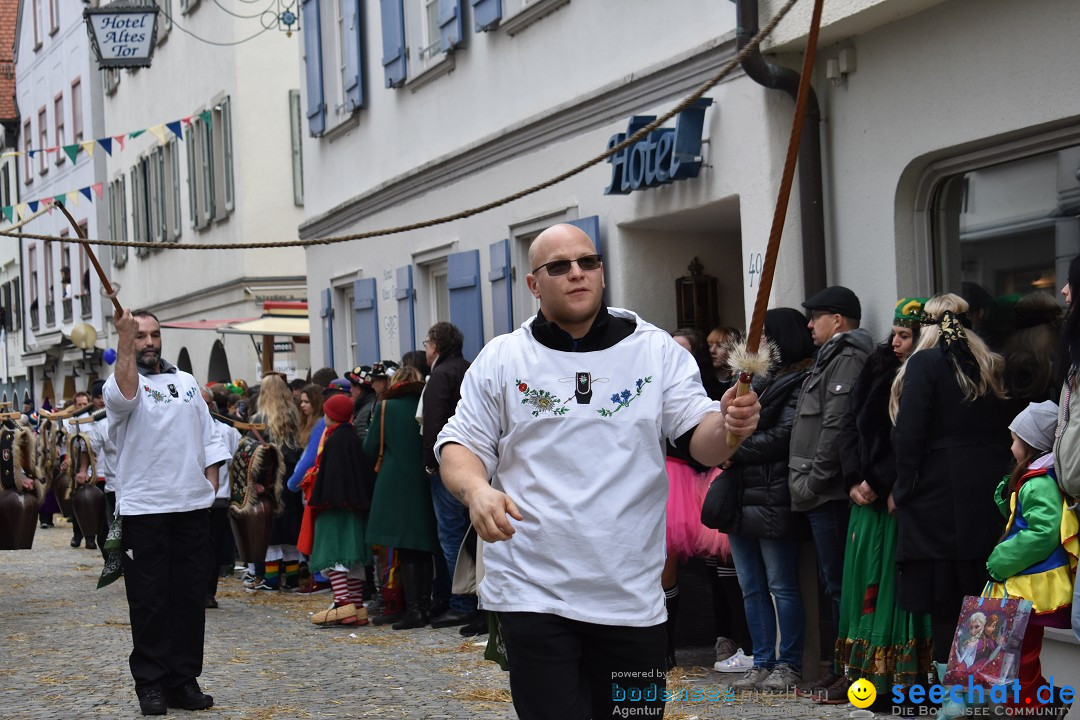 VSAN-Landschaftstreffen: Bad-Waldsee, 28.01.2018