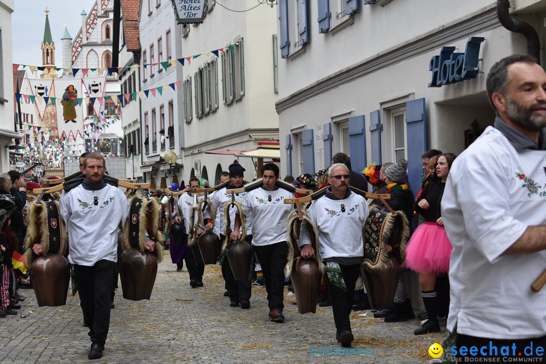 VSAN-Landschaftstreffen: Bad-Waldsee, 28.01.2018