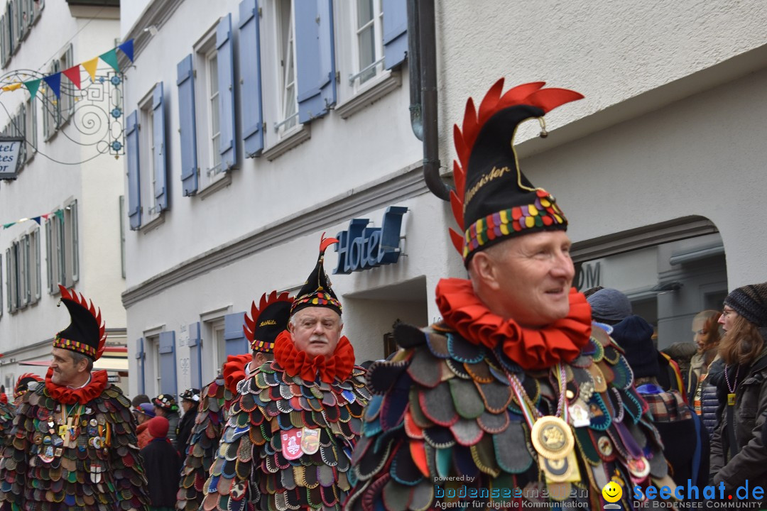 VSAN-Landschaftstreffen: Bad-Waldsee, 28.01.2018