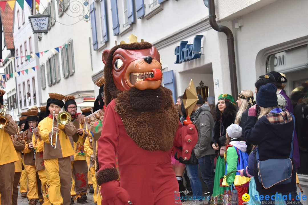 VSAN-Landschaftstreffen: Bad-Waldsee, 28.01.2018