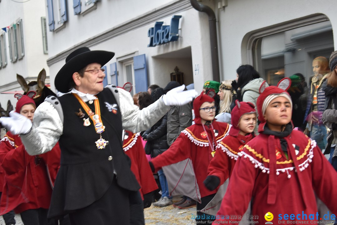 VSAN-Landschaftstreffen: Bad-Waldsee, 28.01.2018