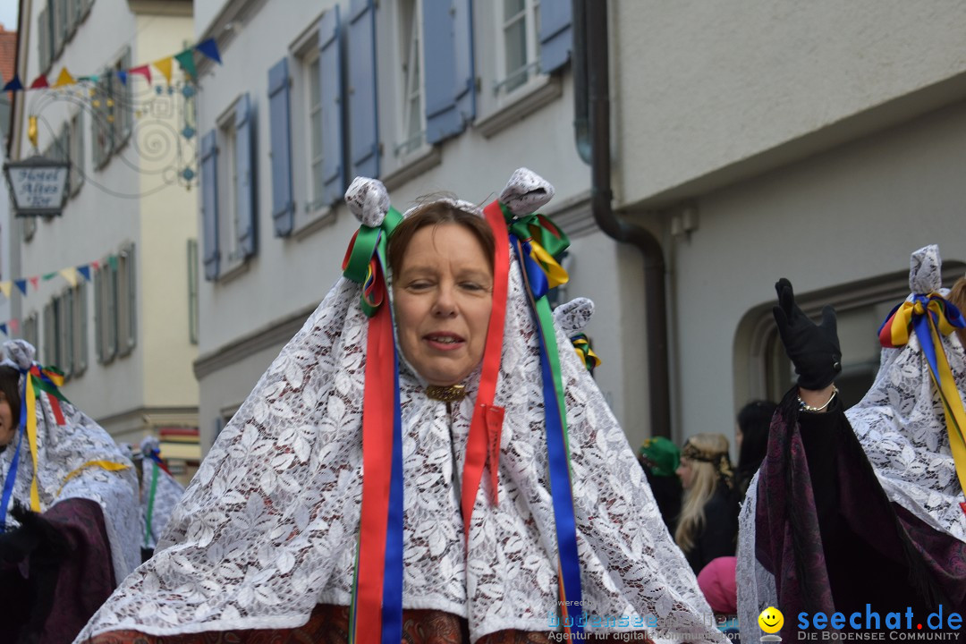 VSAN-Landschaftstreffen: Bad-Waldsee, 28.01.2018