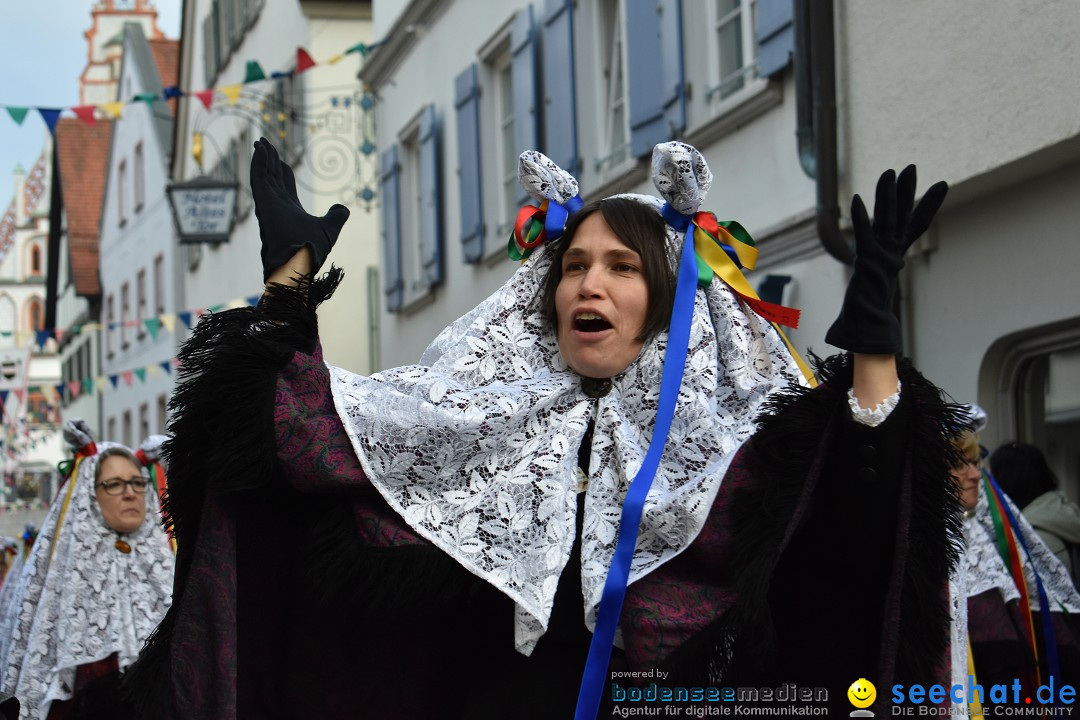 VSAN-Landschaftstreffen: Bad-Waldsee, 28.01.2018