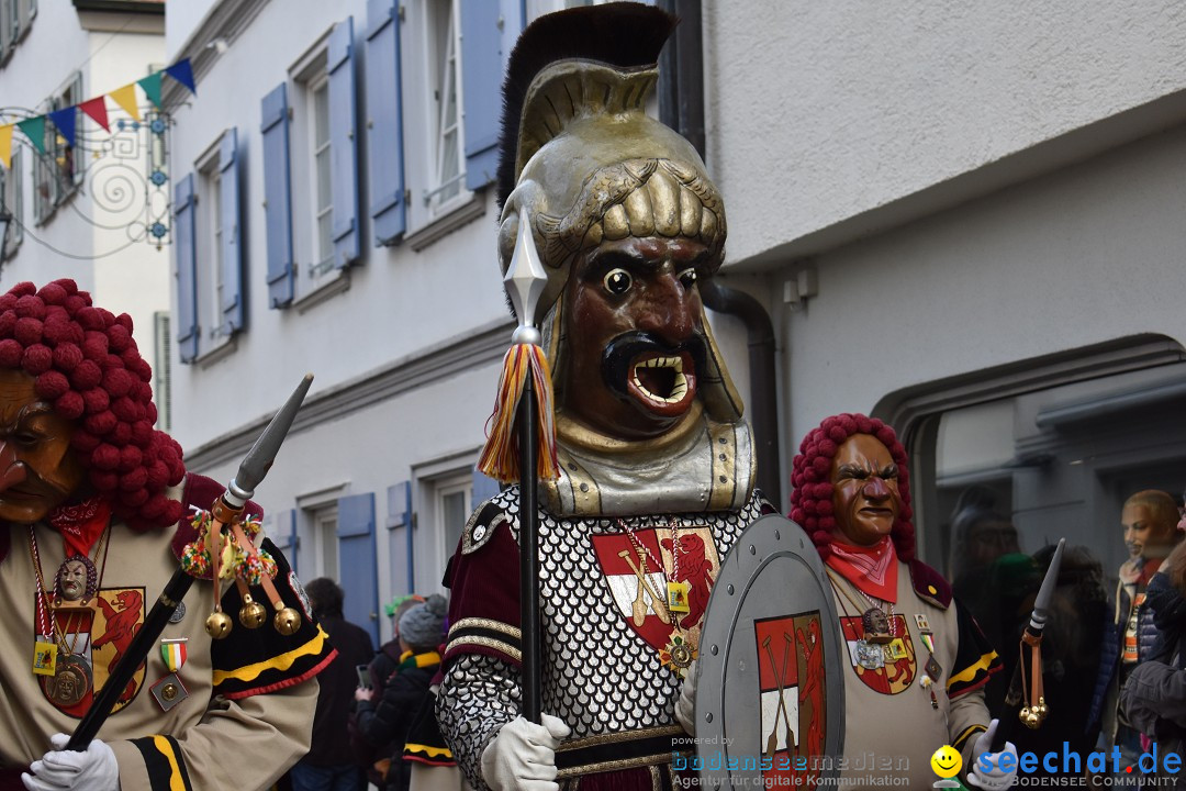 VSAN-Landschaftstreffen: Bad-Waldsee, 28.01.2018