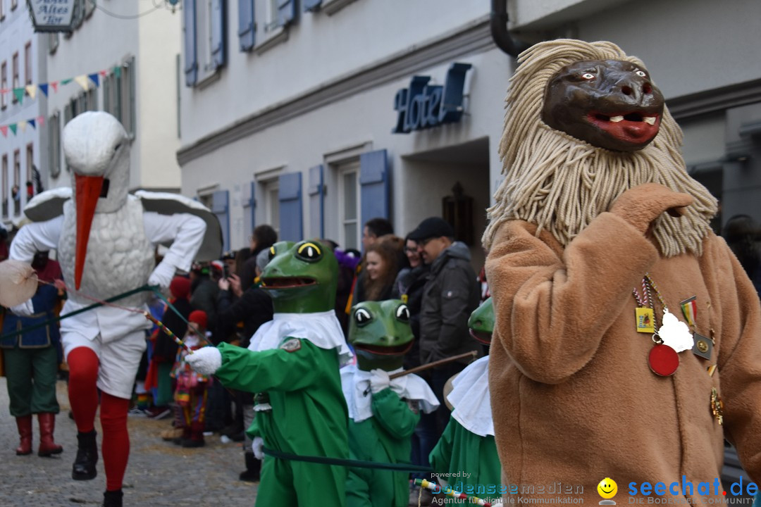 VSAN-Landschaftstreffen: Bad-Waldsee, 28.01.2018