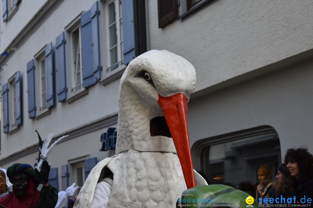 VSAN-Landschaftstreffen: Bad-Waldsee, 28.01.2018