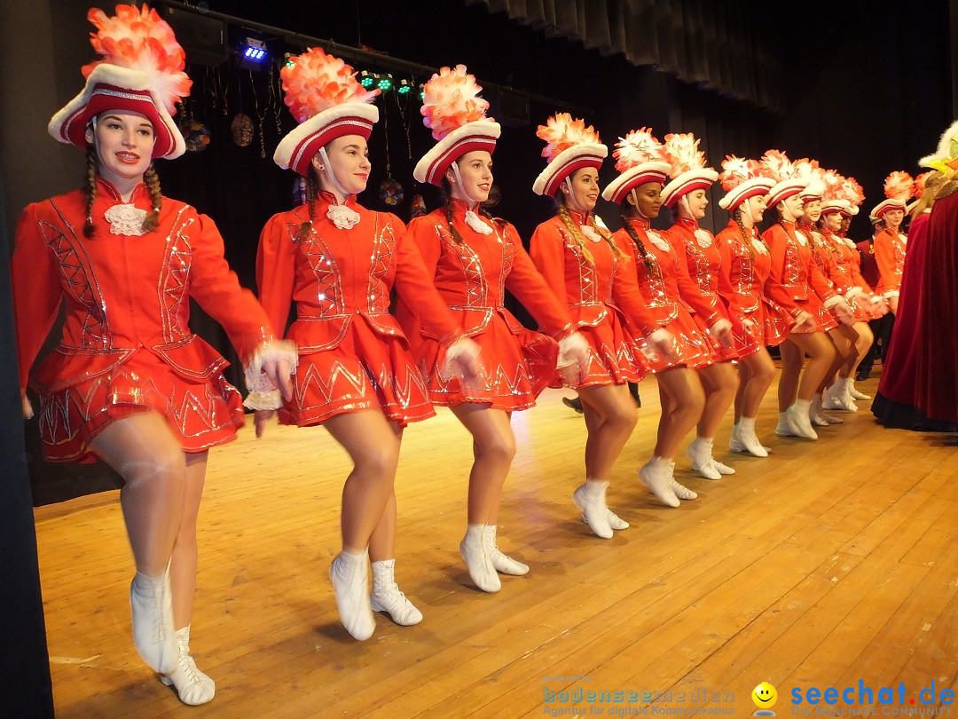 Bandscheibenball 2018: Bad Buchau am Bodensee, 02.02.2018