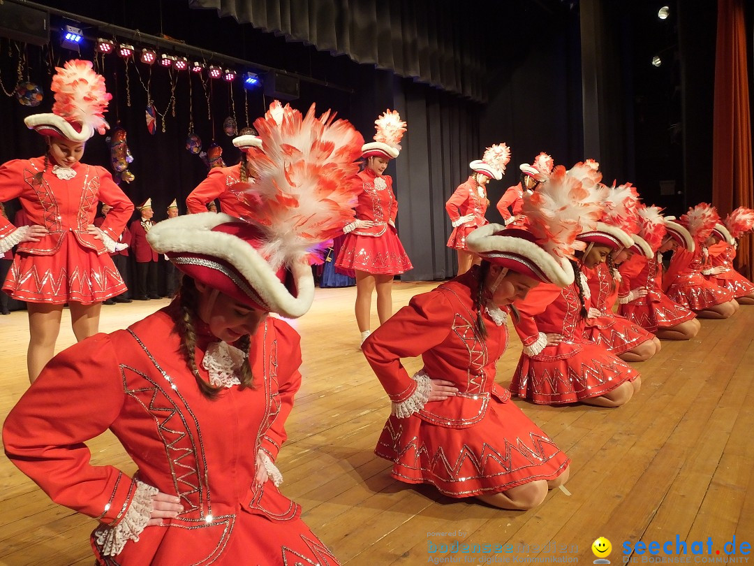 Bandscheibenball 2018: Bad Buchau am Bodensee, 02.02.2018