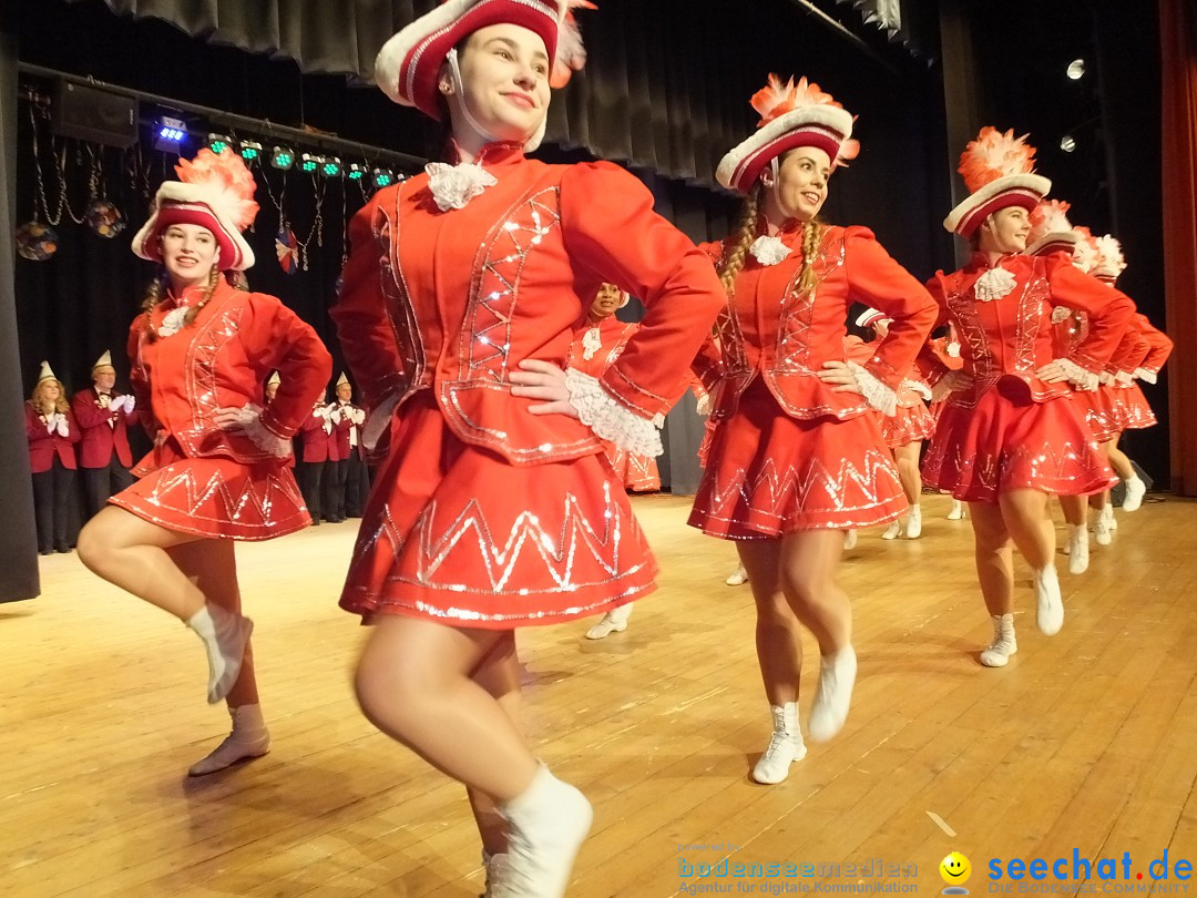 Bandscheibenball 2018: Bad Buchau am Bodensee, 02.02.2018