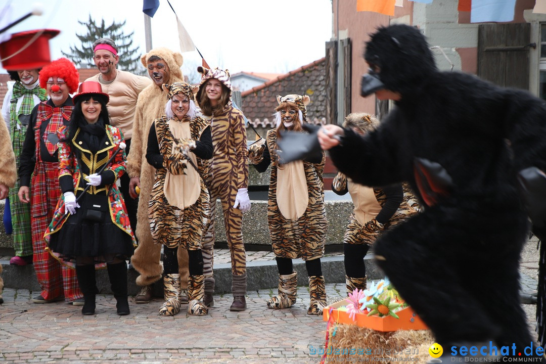 Narrenbaumstellen: Markdorf am Bodensee, 03.02.2018