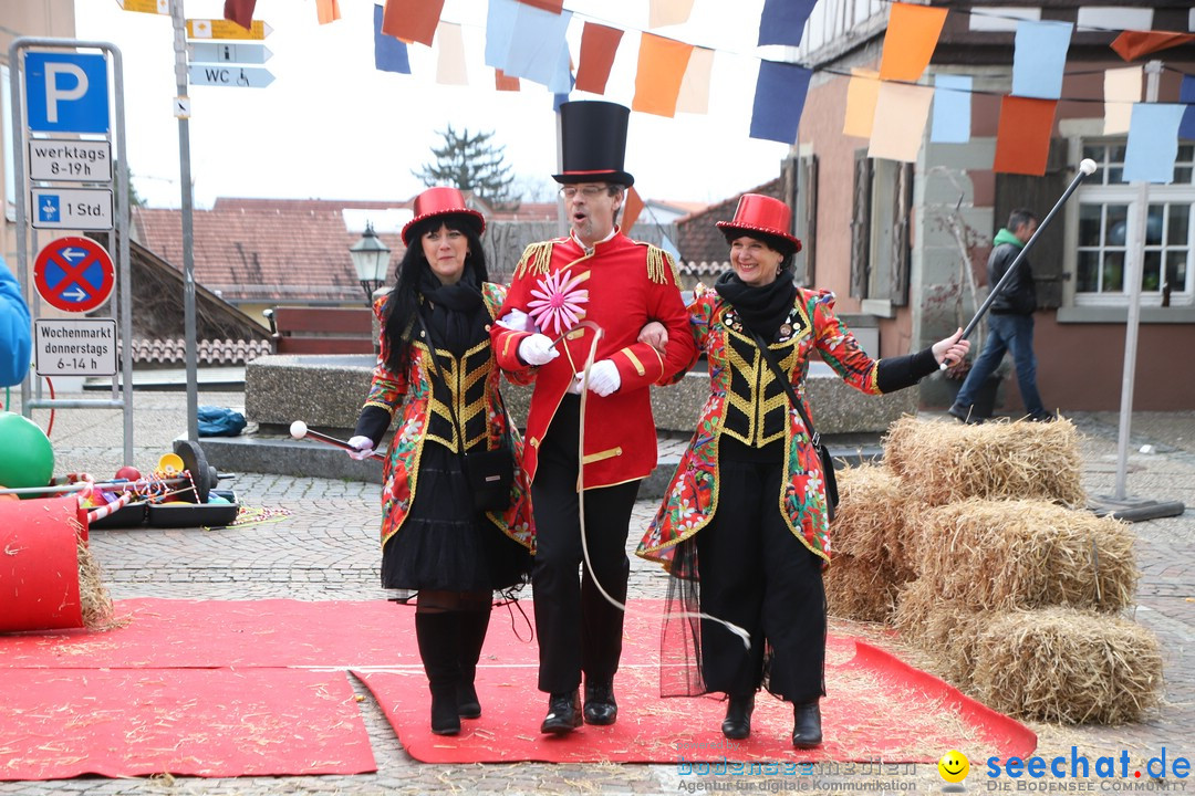 Narrenbaumstellen: Markdorf am Bodensee, 03.02.2018