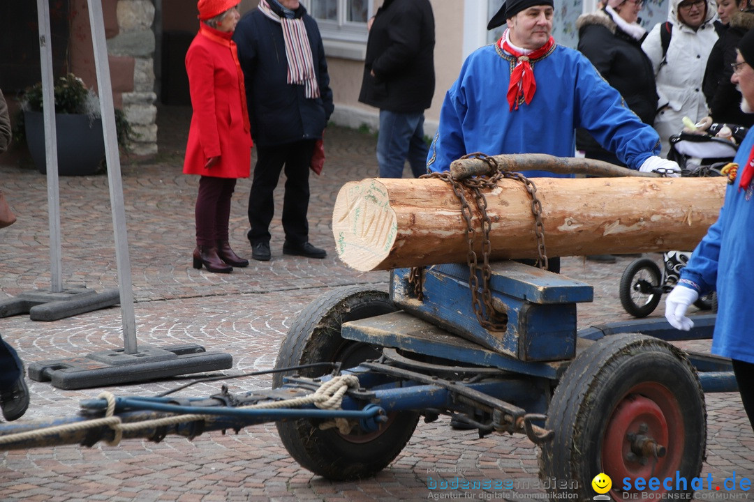 Narrenbaumstellen: Markdorf am Bodensee, 03.02.2018