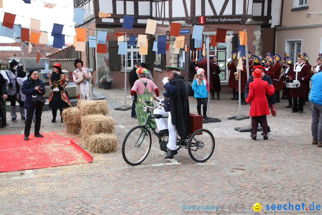 Narrenbaumstellen: Markdorf am Bodensee, 03.02.2018