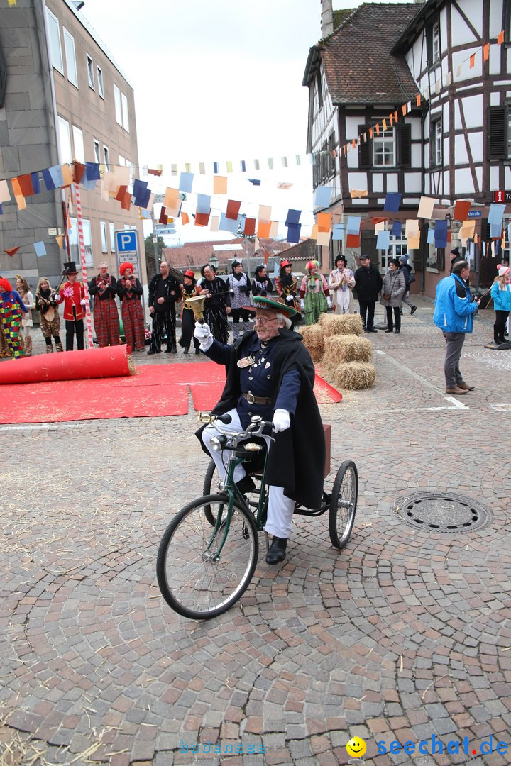 Narrenbaumstellen: Markdorf am Bodensee, 03.02.2018