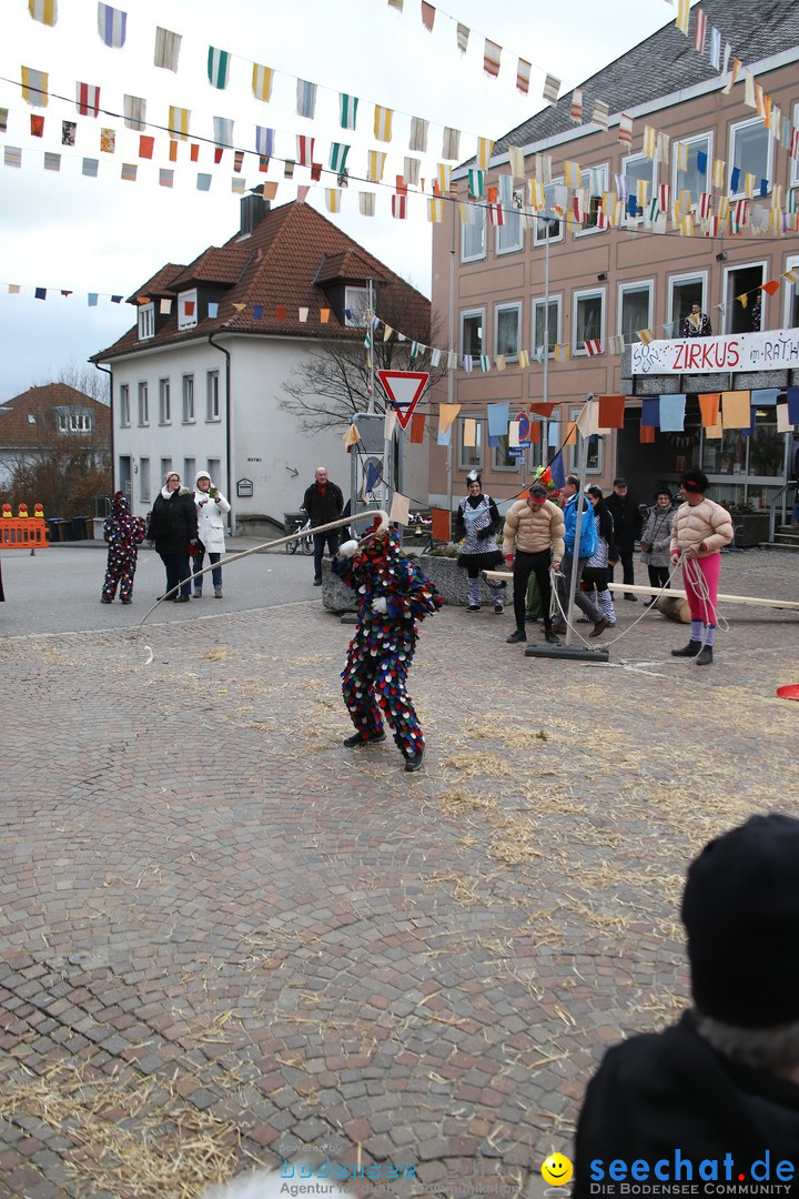 Narrenbaumstellen: Markdorf am Bodensee, 03.02.2018