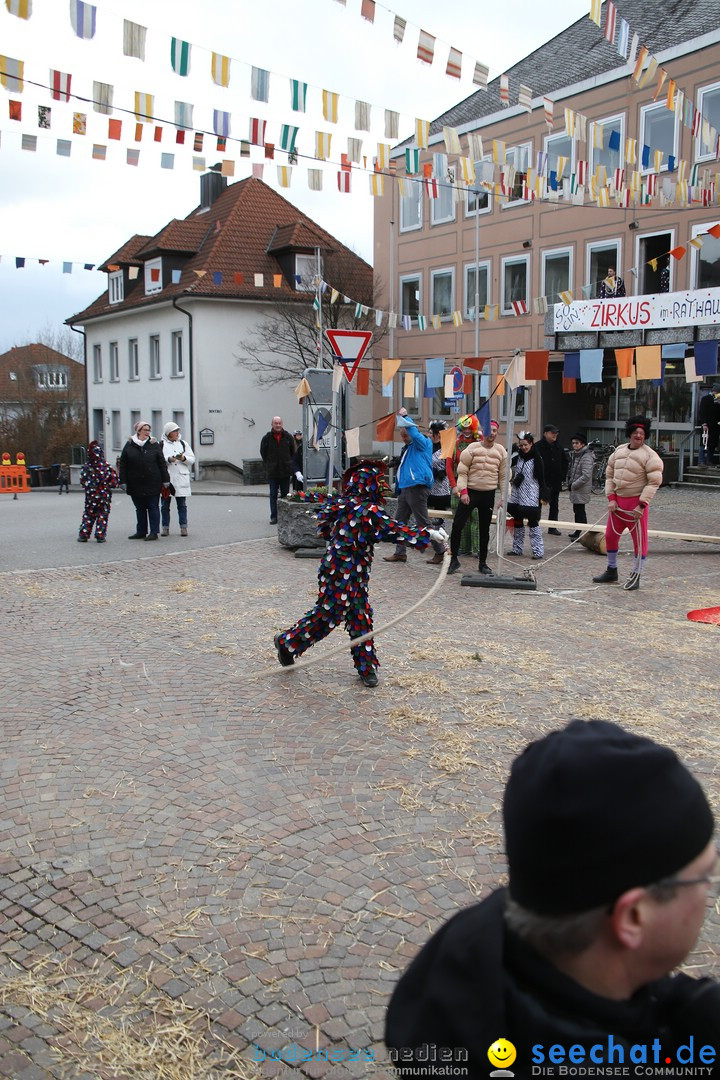 Narrenbaumstellen: Markdorf am Bodensee, 03.02.2018