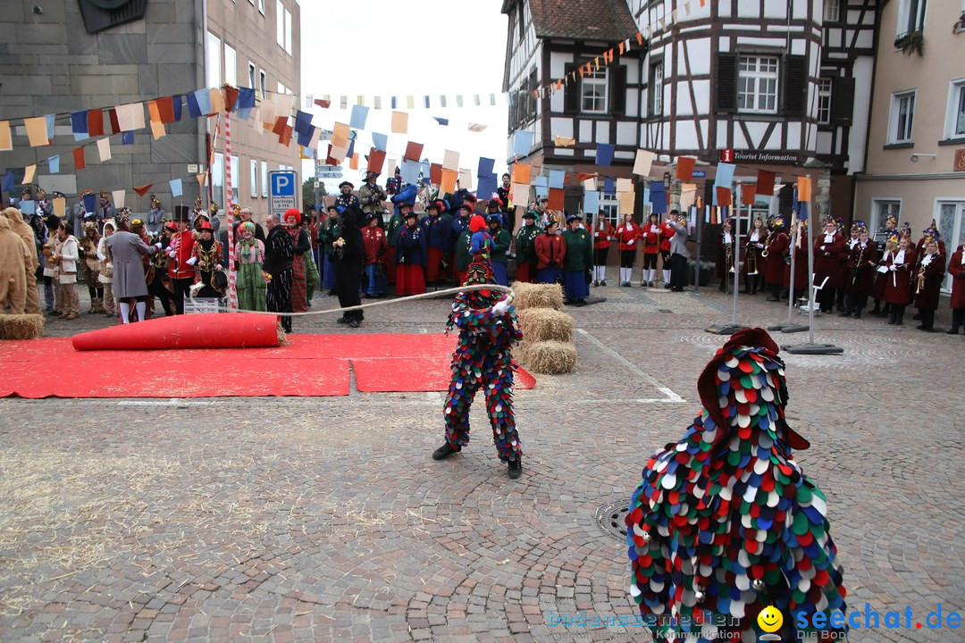 Narrenbaumstellen: Markdorf am Bodensee, 03.02.2018