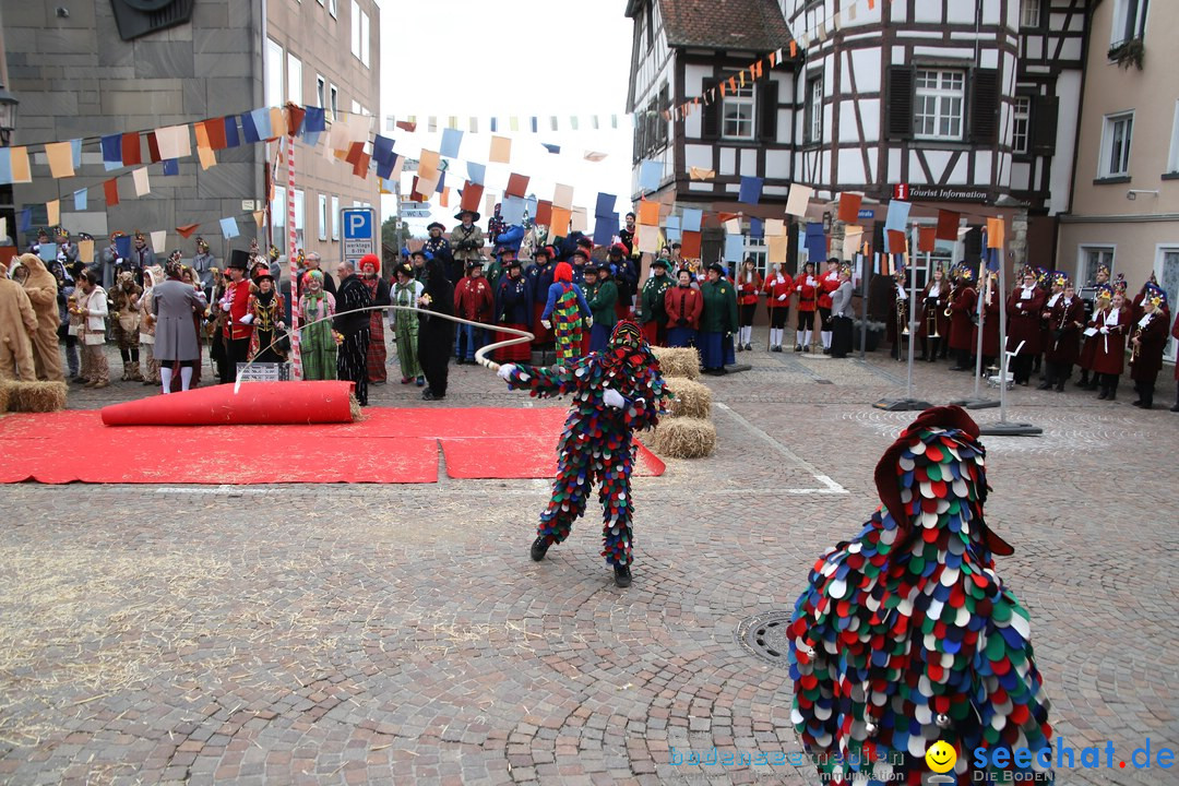 Narrenbaumstellen: Markdorf am Bodensee, 03.02.2018