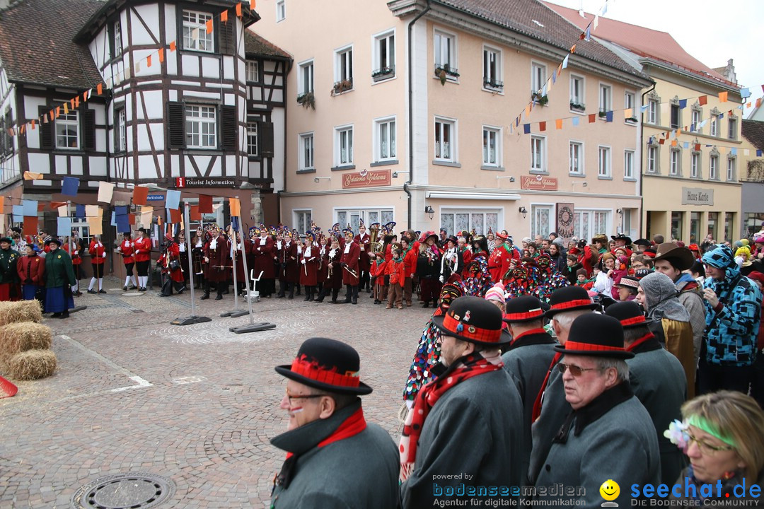 Narrenbaumstellen: Markdorf am Bodensee, 03.02.2018