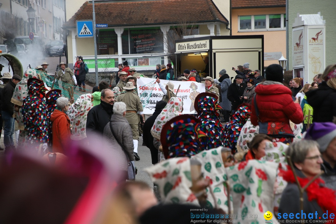 Narrenbaumstellen: Markdorf am Bodensee, 03.02.2018