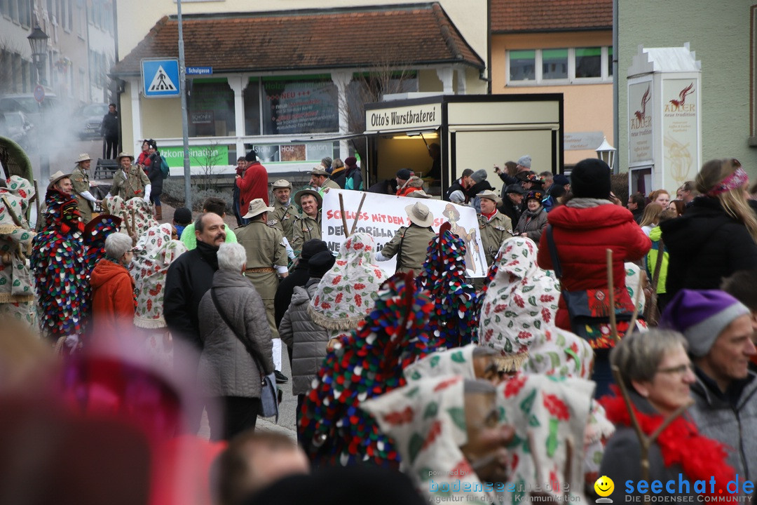 Narrenbaumstellen: Markdorf am Bodensee, 03.02.2018