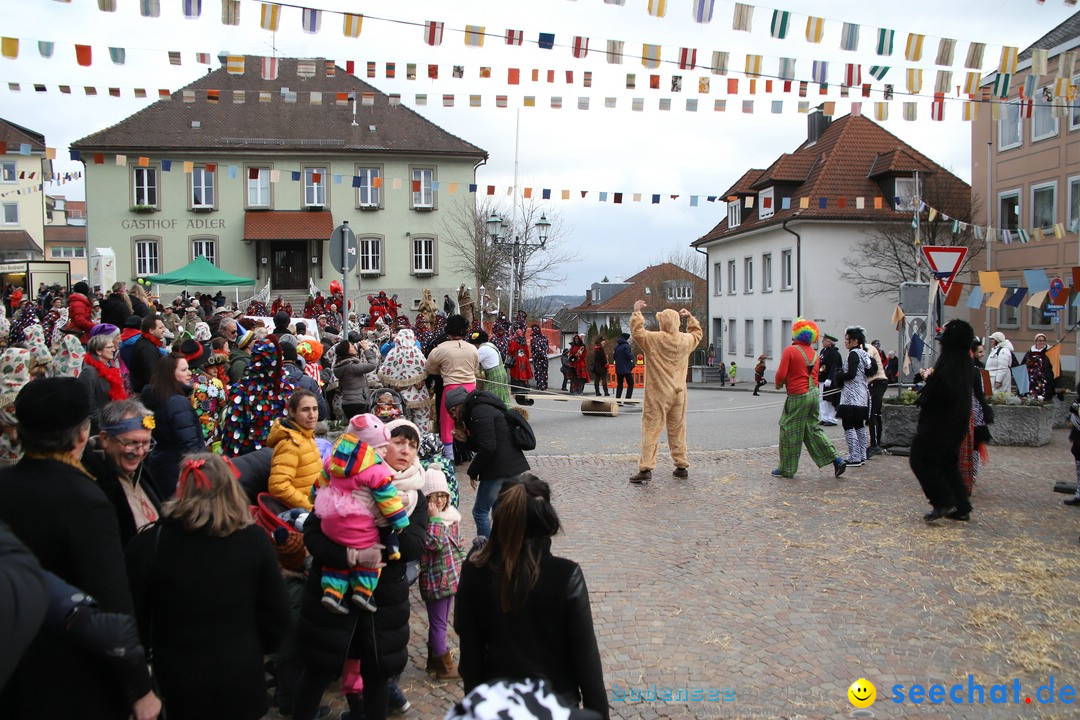 Narrenbaumstellen: Markdorf am Bodensee, 03.02.2018