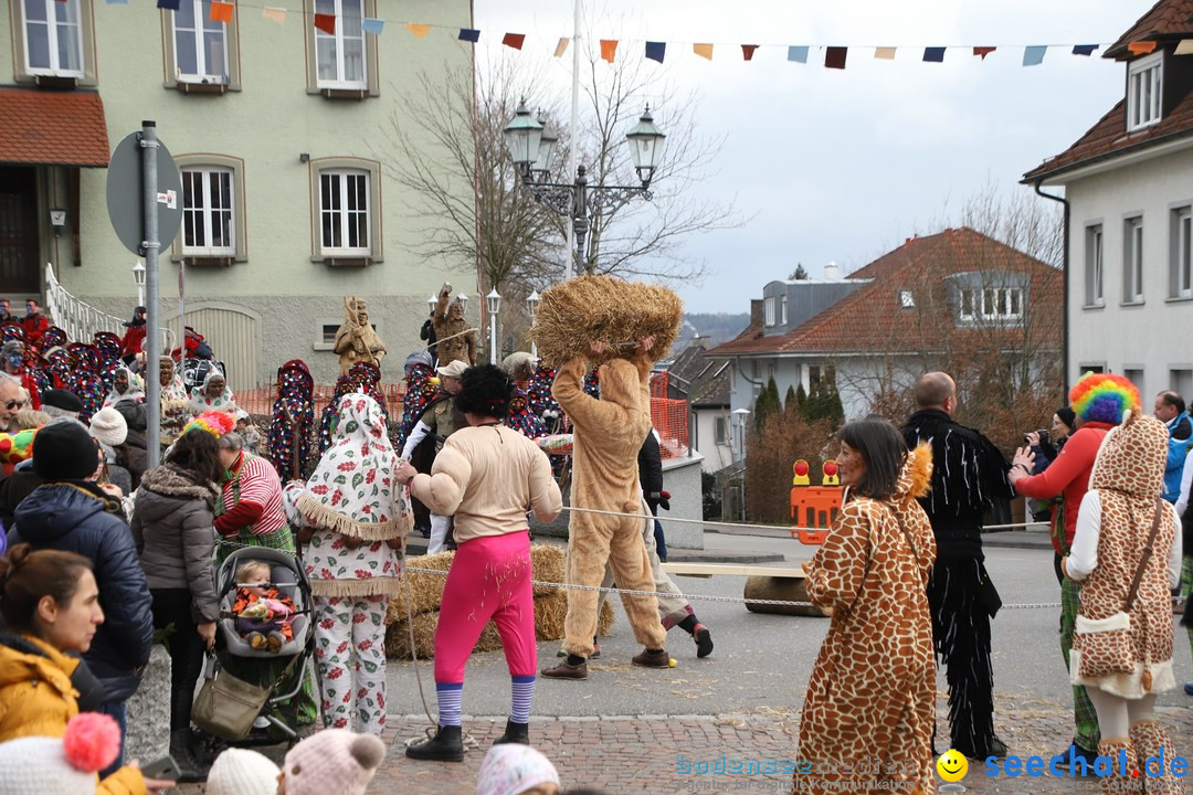 Narrenbaumstellen: Markdorf am Bodensee, 03.02.2018