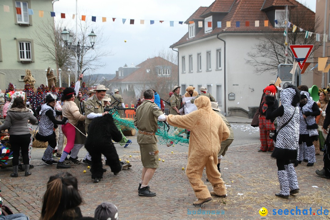 Narrenbaumstellen: Markdorf am Bodensee, 03.02.2018