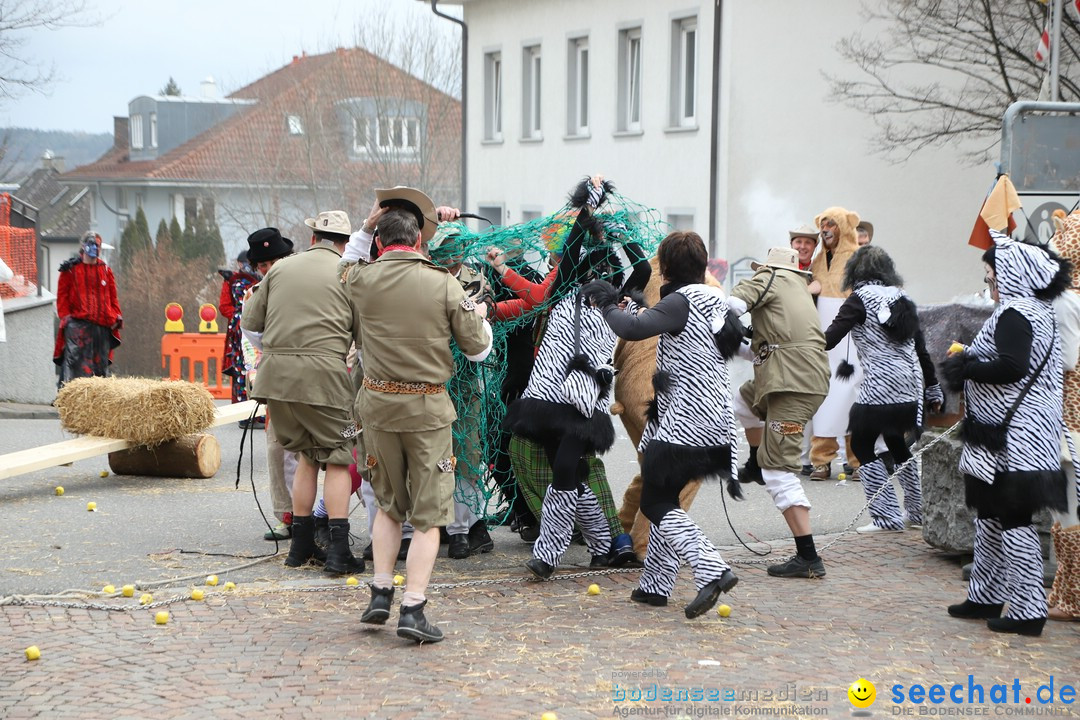 Narrenbaumstellen: Markdorf am Bodensee, 03.02.2018