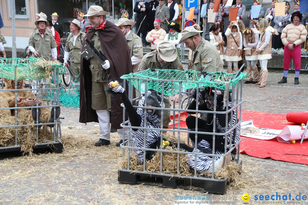 Narrenbaumstellen: Markdorf am Bodensee, 03.02.2018