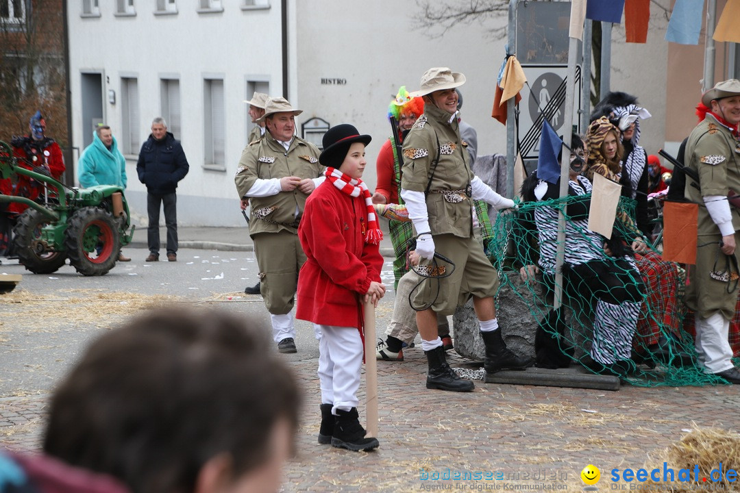 Narrenbaumstellen: Markdorf am Bodensee, 03.02.2018