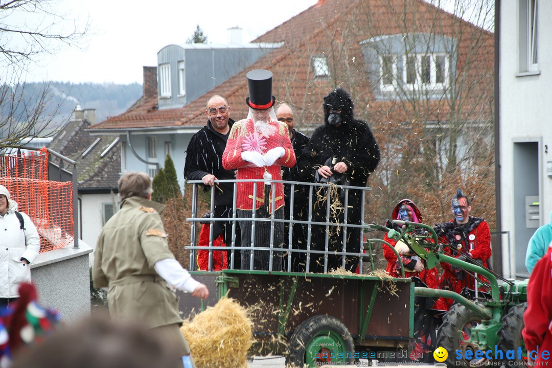 Narrenbaumstellen: Markdorf am Bodensee, 03.02.2018