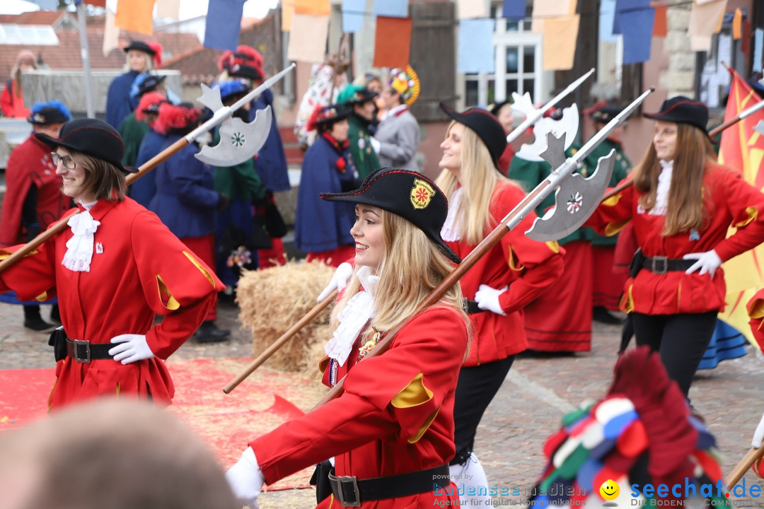 Narrenbaumstellen: Markdorf am Bodensee, 03.02.2018