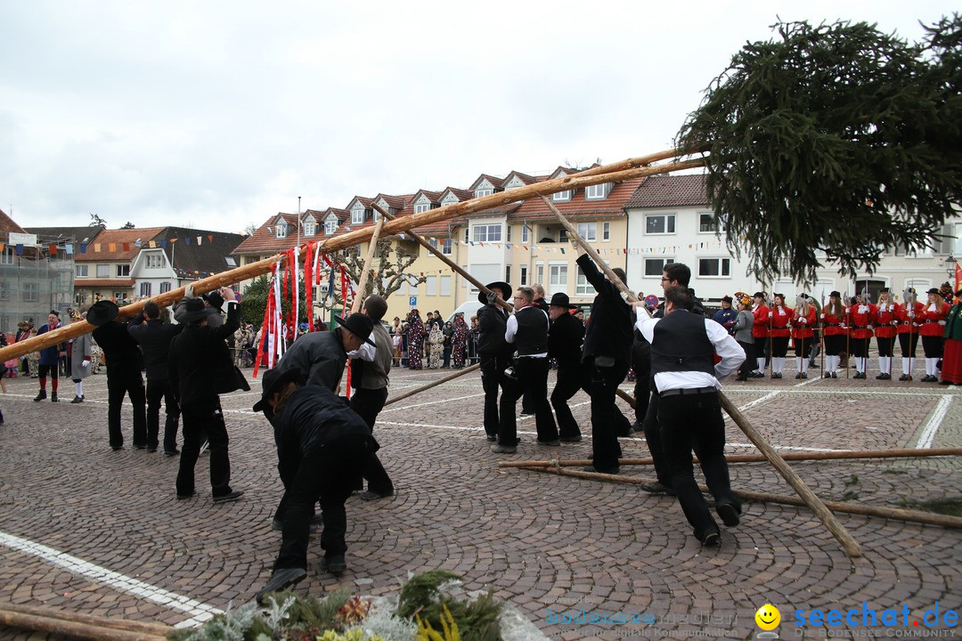 Narrenbaumstellen: Markdorf am Bodensee, 03.02.2018