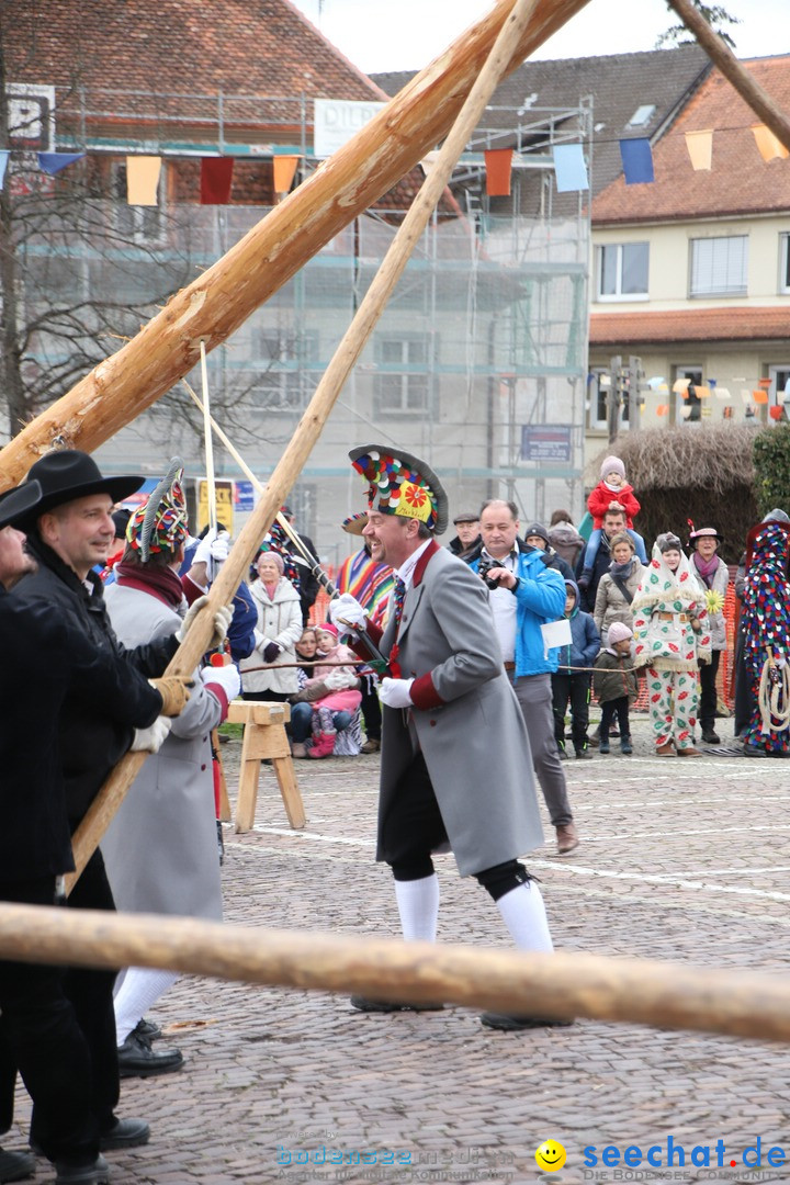 Narrenbaumstellen: Markdorf am Bodensee, 03.02.2018