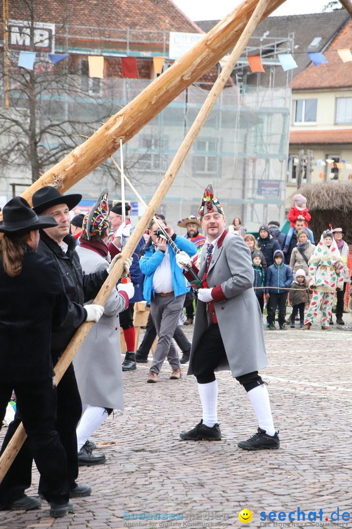 Narrenbaumstellen: Markdorf am Bodensee, 03.02.2018