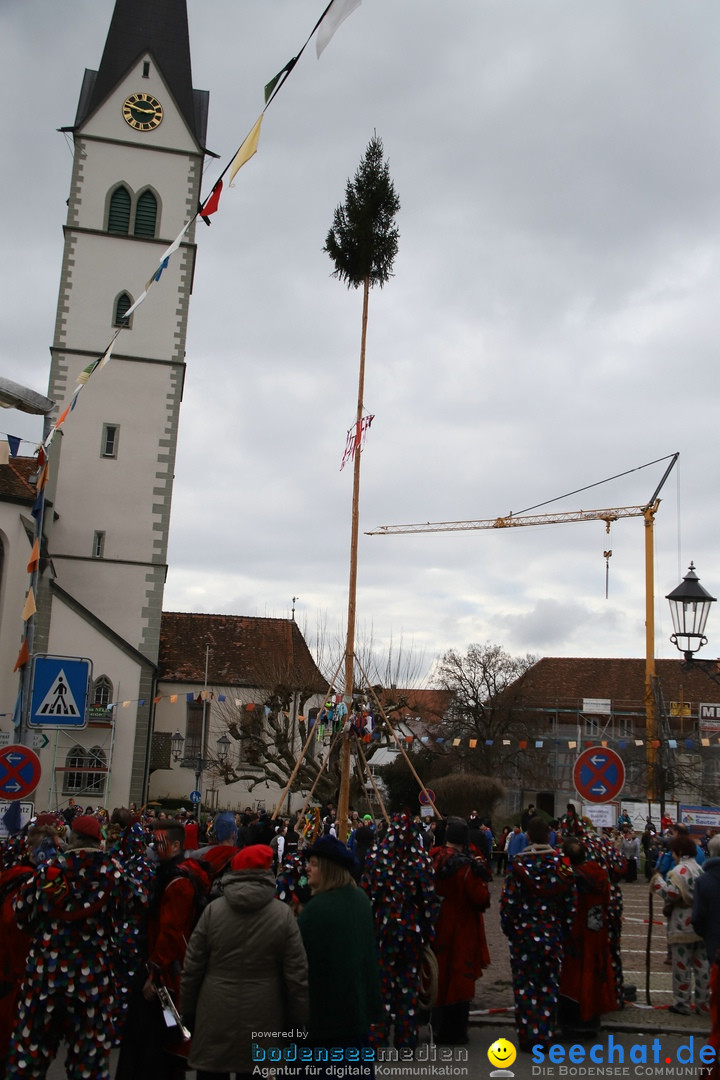 Narrenbaumstellen: Markdorf am Bodensee, 03.02.2018