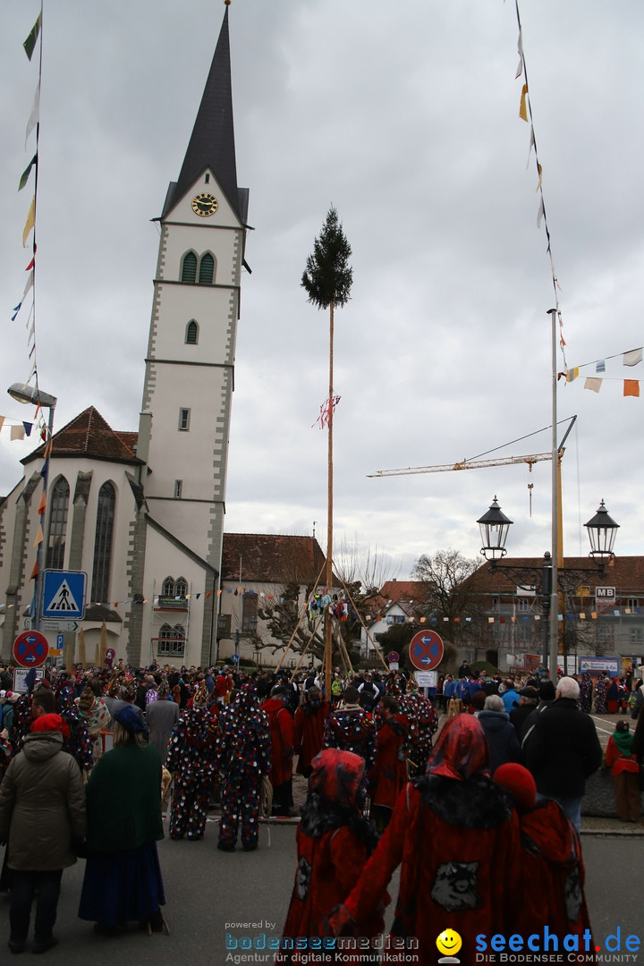 Narrenbaumstellen: Markdorf am Bodensee, 03.02.2018