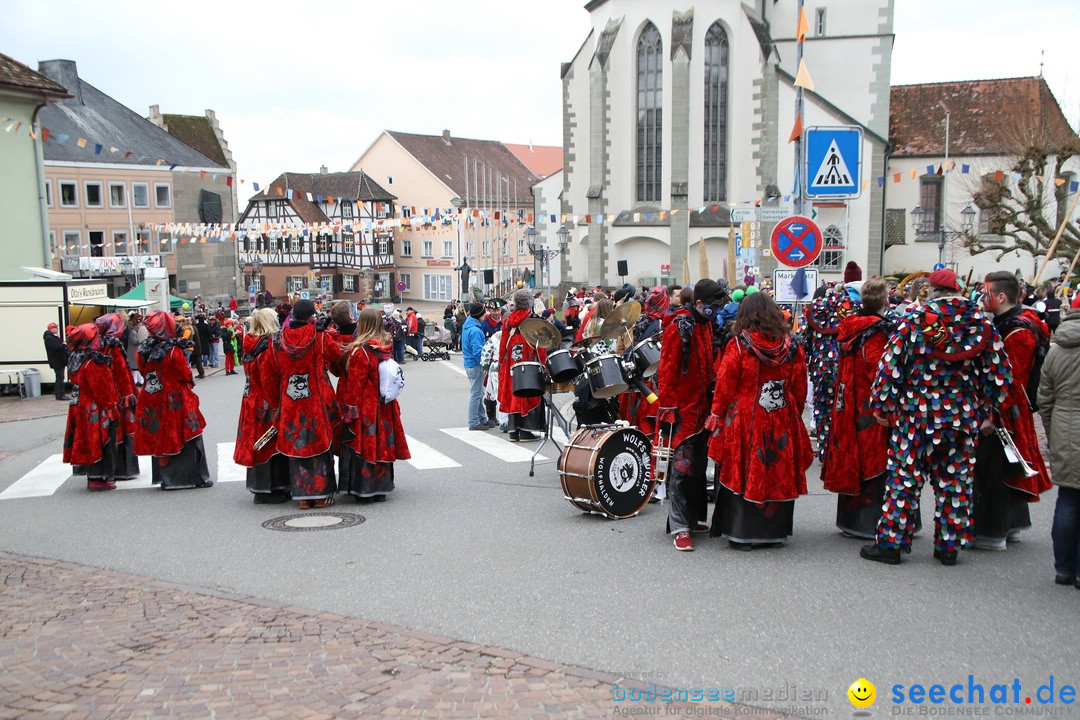 Narrenbaumstellen: Markdorf am Bodensee, 03.02.2018