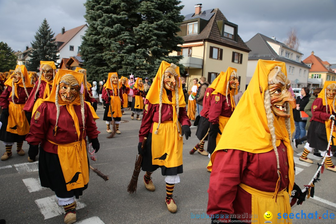 Fasnetsumzug - Fasching: Fischbach am Bodensee, 02.02.2018