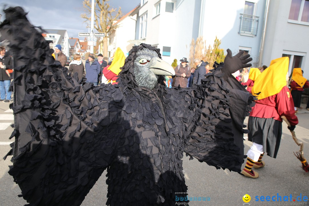 Fasnetsumzug - Fasching: Fischbach am Bodensee, 02.02.2018