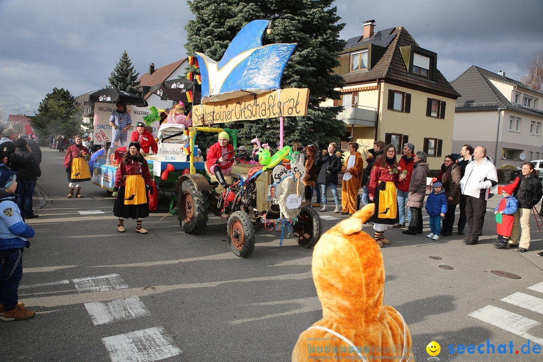 Fasnetsumzug - Fasching: Fischbach am Bodensee, 02.02.2018