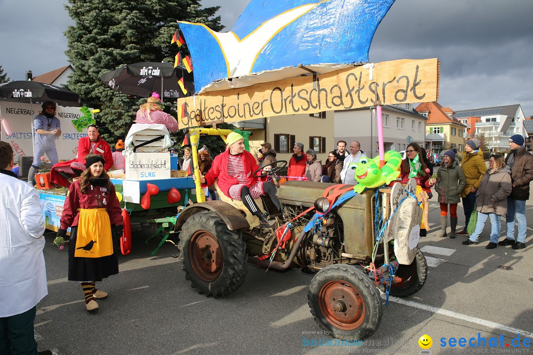 Fasnetsumzug - Fasching: Fischbach am Bodensee, 02.02.2018