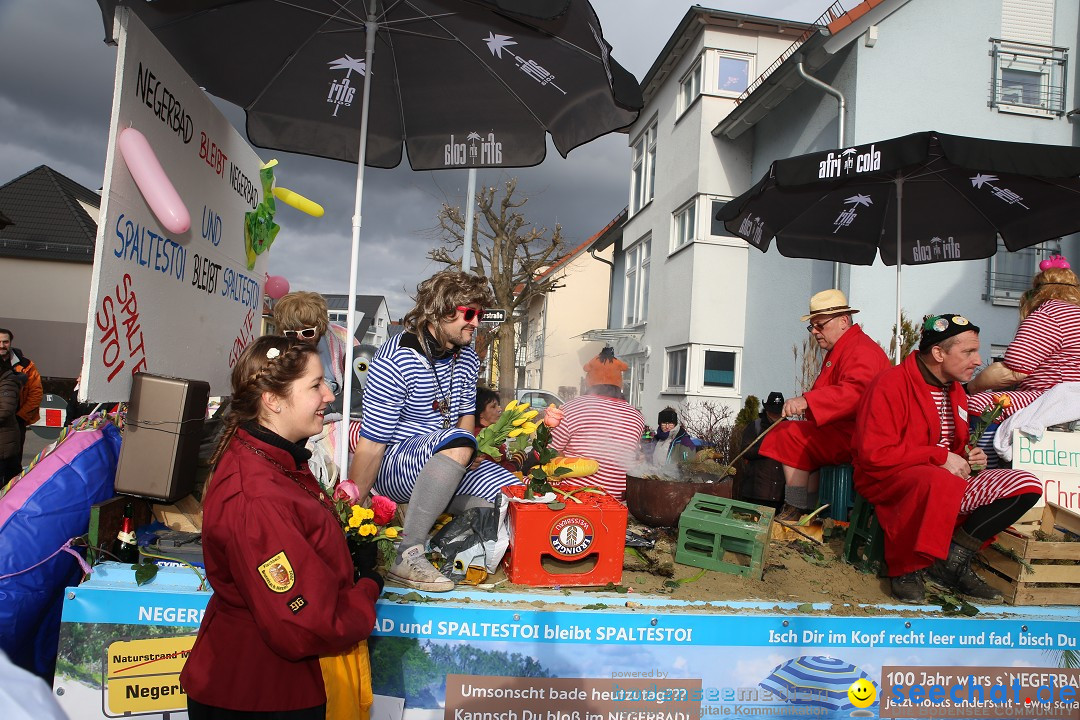 Fasnetsumzug - Fasching: Fischbach am Bodensee, 02.02.2018