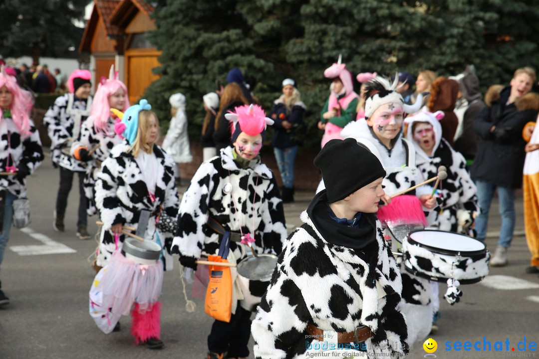 Fasnetsumzug - Fasching: Fischbach am Bodensee, 02.02.2018