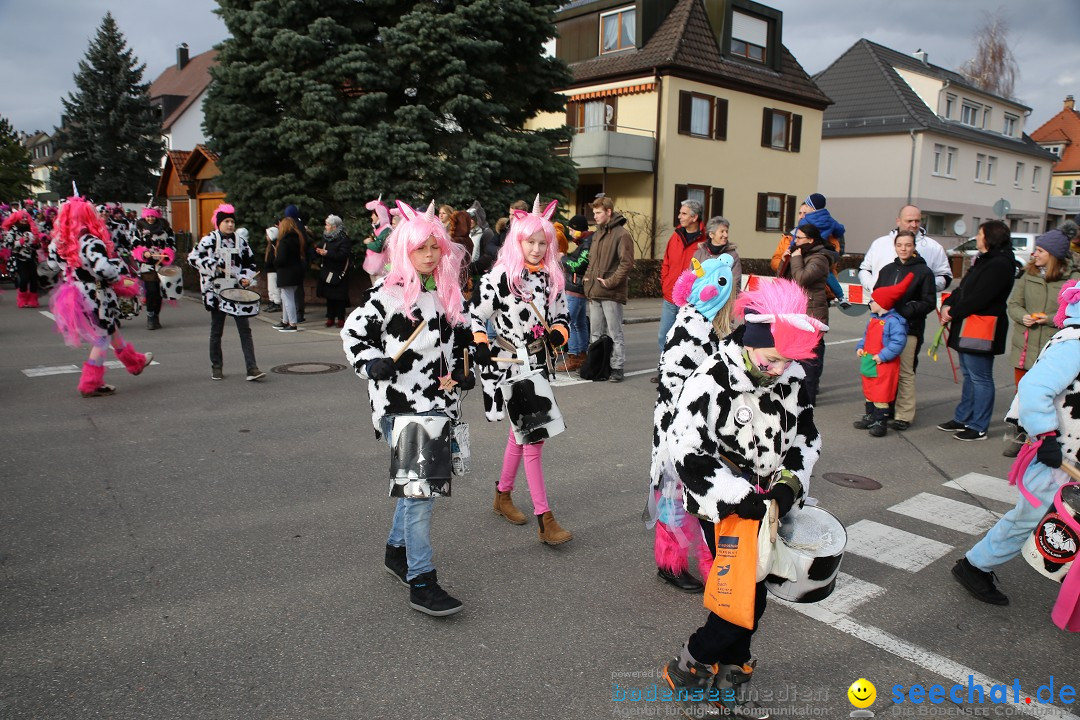 Fasnetsumzug - Fasching: Fischbach am Bodensee, 02.02.2018