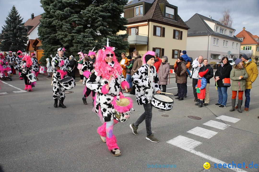 Fasnetsumzug - Fasching: Fischbach am Bodensee, 02.02.2018