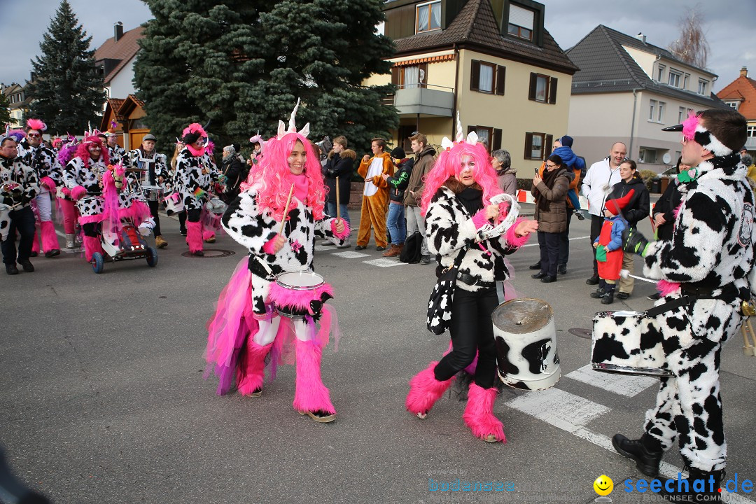 Fasnetsumzug - Fasching: Fischbach am Bodensee, 02.02.2018