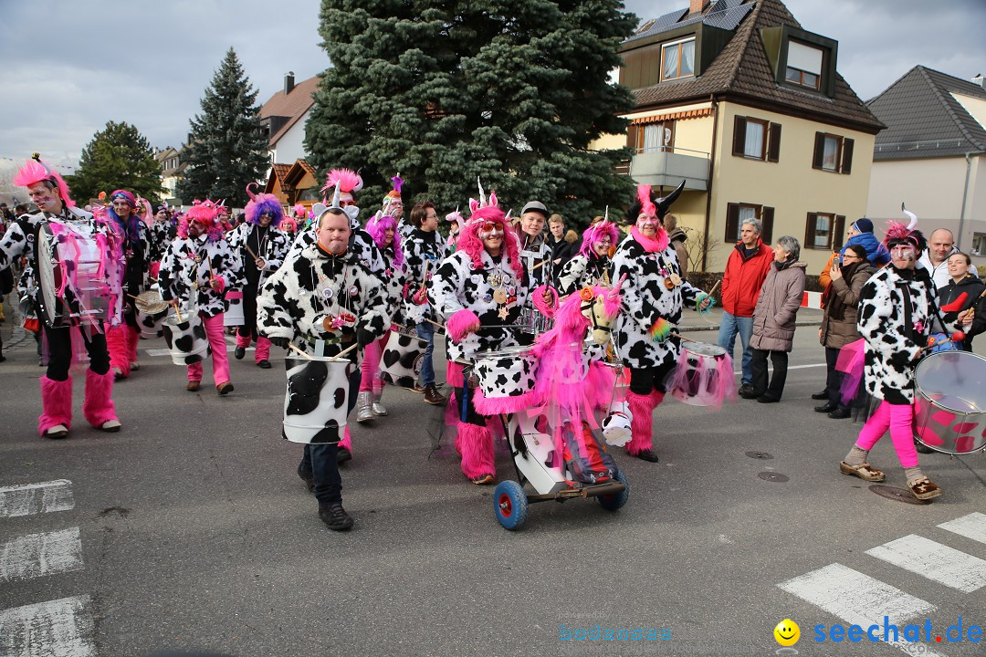 Fasnetsumzug - Fasching: Fischbach am Bodensee, 02.02.2018