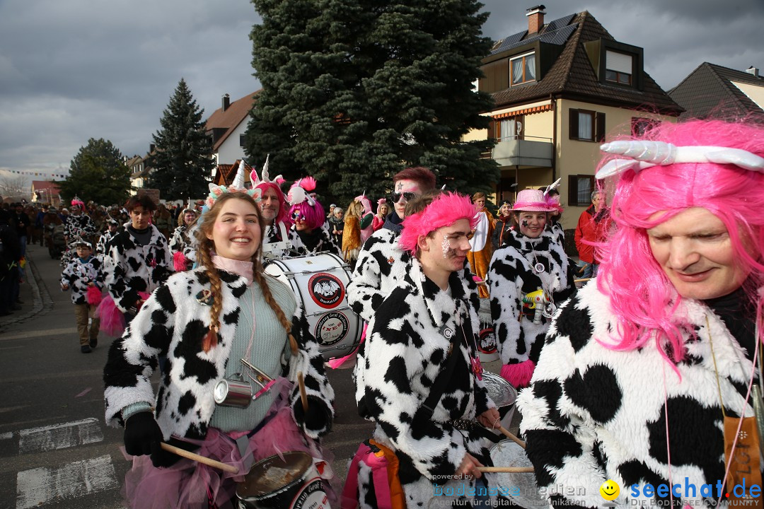 Fasnetsumzug - Fasching: Fischbach am Bodensee, 02.02.2018